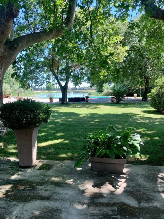 Hébergement de vacances Mas Des Bécasses Piscine *