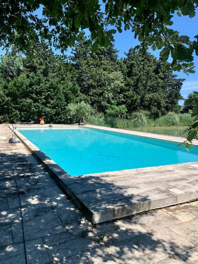 Hébergement de vacances Mas Des Bécasses Piscine Arles